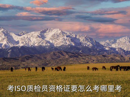 質(zhì)檢員證書，工程質(zhì)檢員證有用嗎