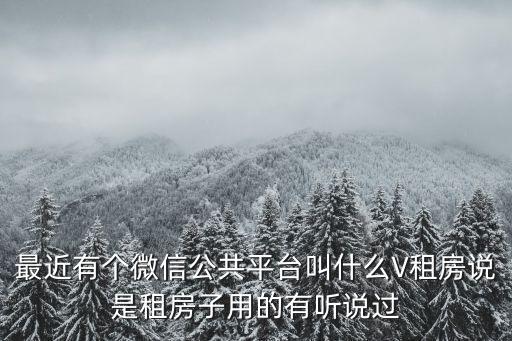 最近有個微信公共平臺叫什么V租房說是租房子用的有聽說過