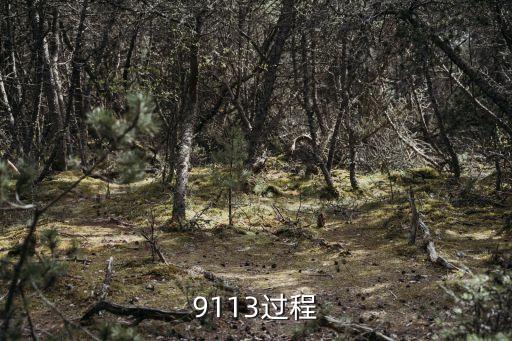 91絲足，9113過程