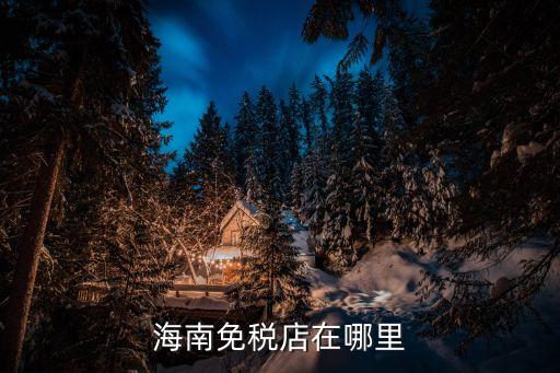 海南免稅店在哪里