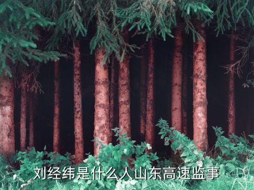 劉經(jīng)緯，第五屆神州唱響學(xué)生美聲組l劉經(jīng)偉