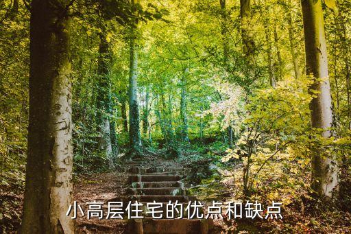 小高層住宅的優(yōu)點(diǎn)和缺點(diǎn)