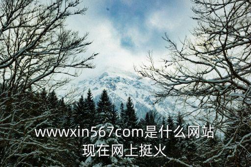 wwwxin567com是什么網站現(xiàn)在網上挺火
