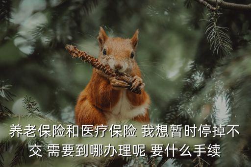 養(yǎng)老保險和醫(yī)療保險 我想暫時停掉不交 需要到哪辦理呢 要什么手續(xù)