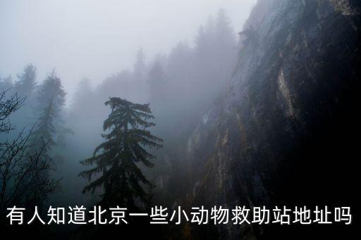 動(dòng)物救助站，寵物救助中心是什么受法律保護(hù)嗎結(jié)構(gòu)是什么