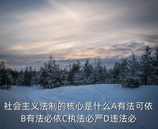 社會(huì)主義法制的核心是什么A有法可依B有法必依C執(zhí)法必嚴(yán)D違法必