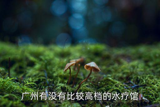 廣州有沒有比較高檔的水療館