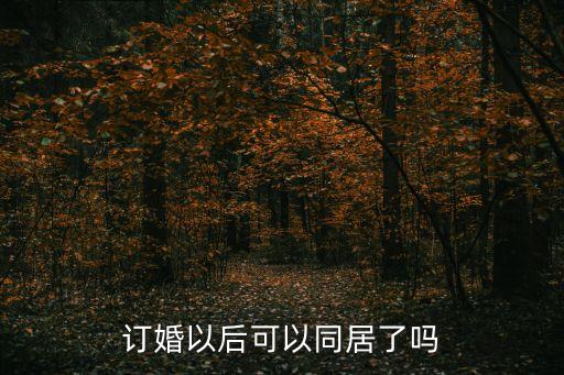 訂婚后可以同居嗎，訂婚后可以同居嗎