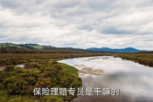 保險(xiǎn)理賠員，保險(xiǎn)公司的理賠專員是干什么的