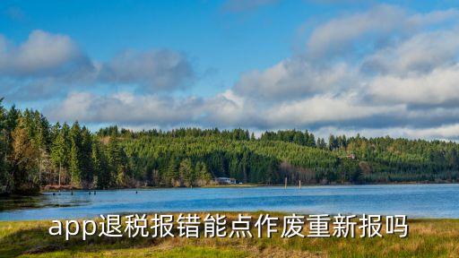 軟件退稅，app退稅報錯能點作廢重新報嗎