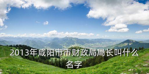 2013年咸陽市市財政局局長叫什么名字