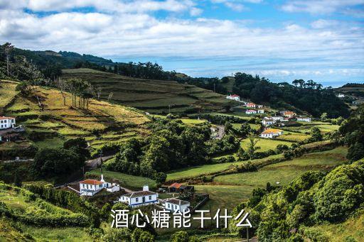 酒心糖，酒心糖能干什么