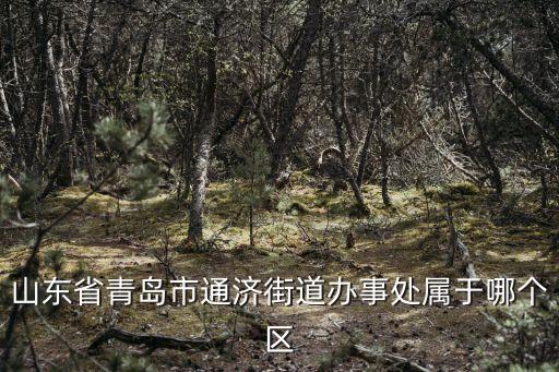 通濟(jì)街道，山東省青島市即墨市通濟(jì)街道西元莊村郵編是多少