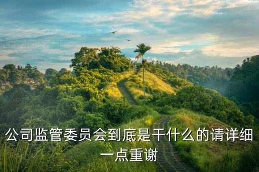 監(jiān)委，公司監(jiān)管委員會到底是干什么的請詳細一點重謝