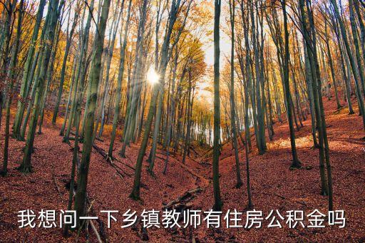 我想問一下鄉(xiāng)鎮(zhèn)教師有住房公積金嗎