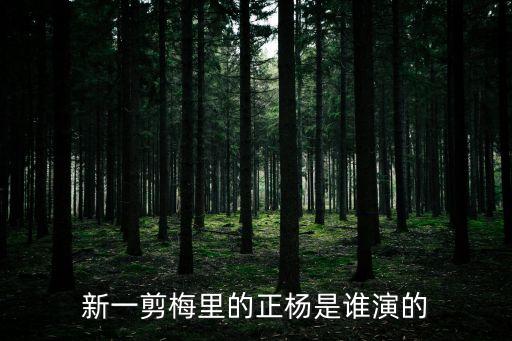 新一剪梅里的正楊是誰演的