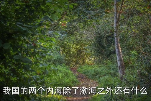 我國的兩個內(nèi)海除了渤海之外還有什么