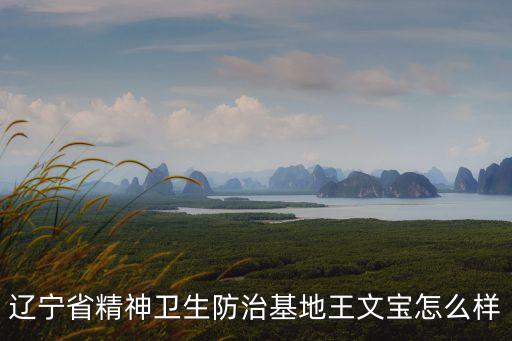遼寧省精神衛(wèi)生防治基地王文寶怎么樣