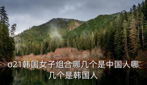 鄭麗娜，鄭麗娜 韓語怎么寫