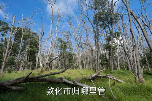 敦化市歸哪里管