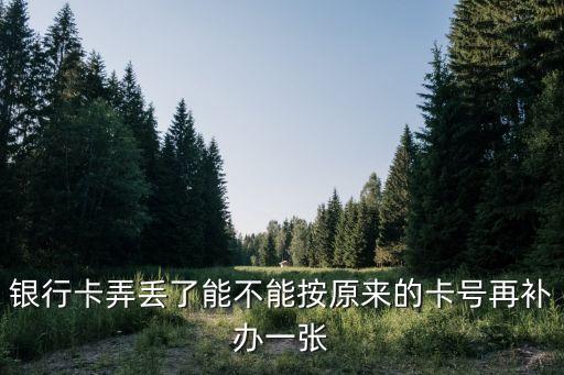 銀行卡弄丟了能不能按原來的卡號再補辦一張
