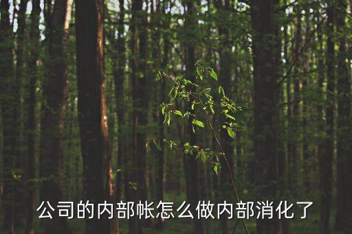 公司內(nèi)賬怎么做，會計內(nèi)賬如何做