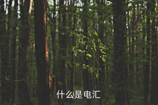 什么是電匯