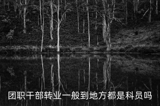 團(tuán)職干部轉(zhuǎn)業(yè)一般到地方都是科員嗎