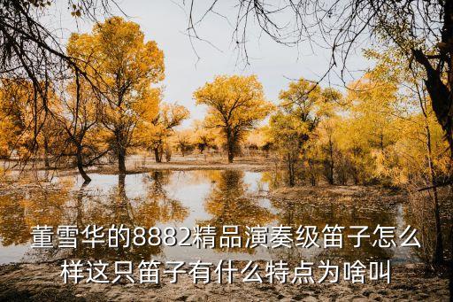 董雪華，董雪華的8882精品演奏級(jí)笛子怎么樣這只笛子有什么特點(diǎn)為啥叫