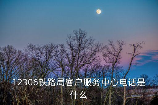 12306鐵路局客戶服務(wù)中心電話是什么