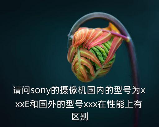 請(qǐng)問sony的攝像機(jī)國(guó)內(nèi)的型號(hào)為xxxE和國(guó)外的型號(hào)xxx在性能上有區(qū)別