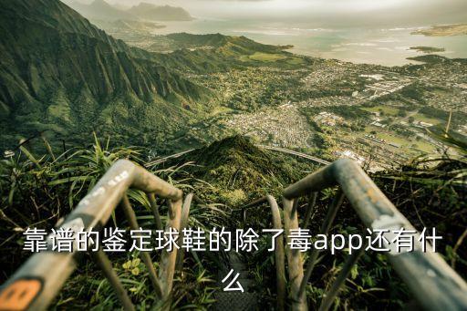 靠譜的鑒定球鞋的除了毒app還有什么