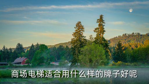 商場(chǎng)電梯適合用什么樣的牌子好呢