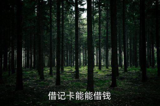 借記卡可以借錢嗎，借記卡能貸款嗎