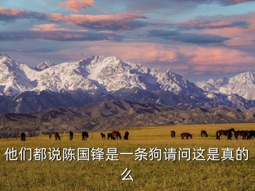 陳國鋒，他們都說陳國鋒是一條狗請問這是真的么