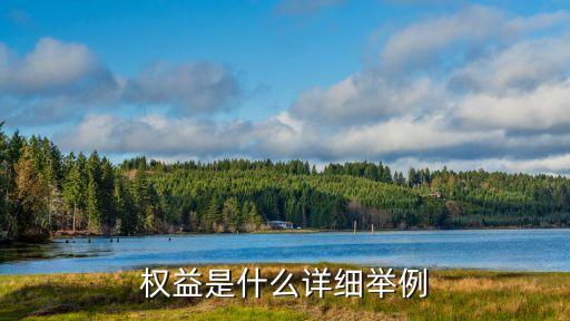 權益是什么詳細舉例