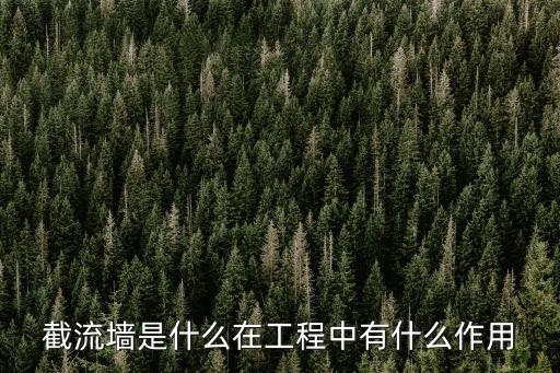 截水墻，截流墻是什么在工程中有什么作用