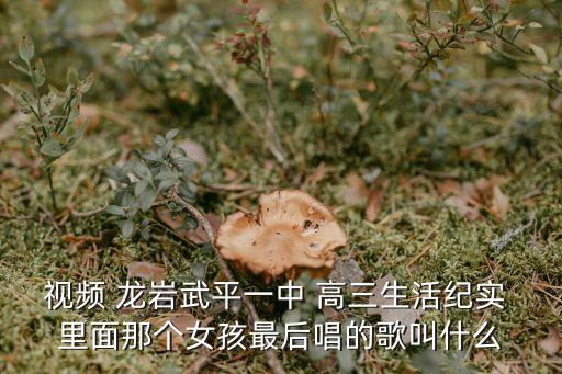 視頻 龍巖武平一中 高三生活紀(jì)實 里面那個女孩最后唱的歌叫什么
