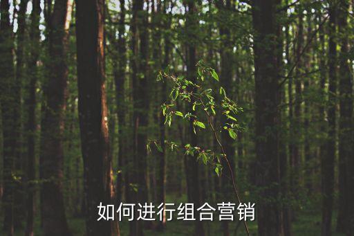 組合銷售，如何進(jìn)行組合營銷