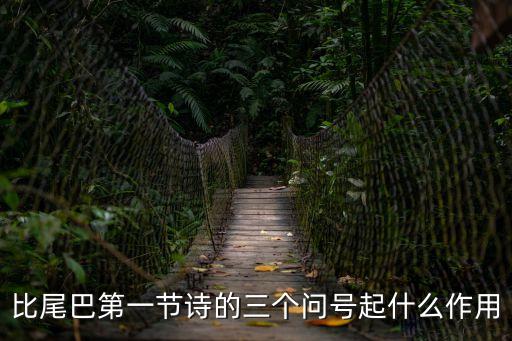 比尾巴教學(xué)設(shè)計(jì)，一年級(jí)上冊(cè)語(yǔ)文10課比尾巴有幾段