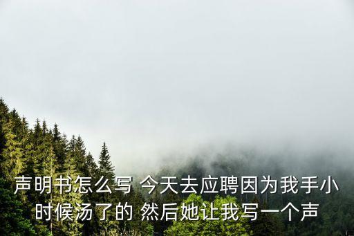 個(gè)人聲明書(shū)，個(gè)人工資聲明書(shū)怎樣寫(xiě)