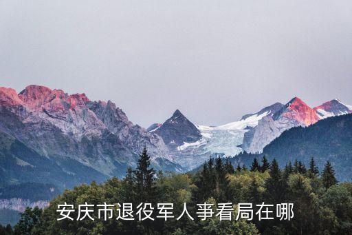 安慶市退役軍人亊看局在哪