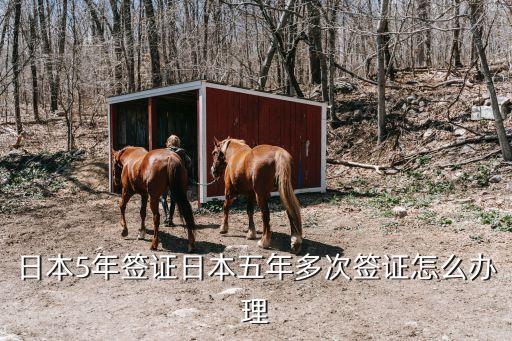 日本5年簽證，一家人申請(qǐng)日本五年簽證有什么需要注意的