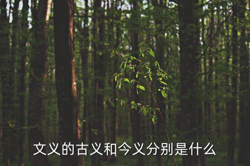 文義的古義和今義分別是什么