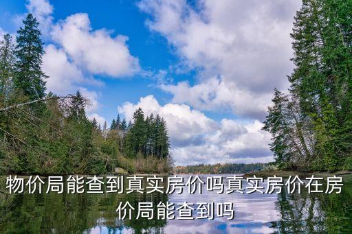 物價(jià)局定價(jià)查詢，物價(jià)局能查到真實(shí)房?jī)r(jià)嗎真實(shí)房?jī)r(jià)在房?jī)r(jià)局能查到嗎