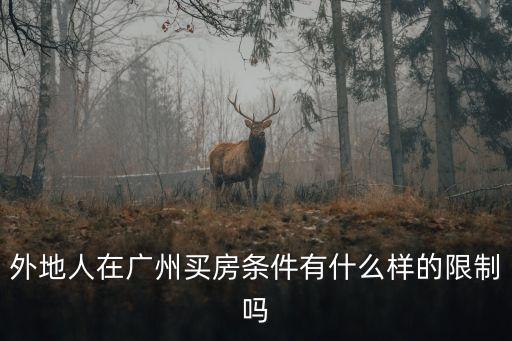 外地人在廣州買(mǎi)房條件有什么樣的限制嗎