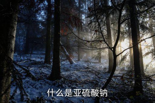 什么是亞硫酸鈉
