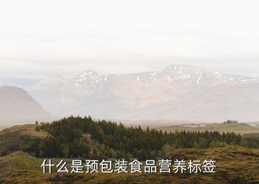 預(yù)包裝食品標(biāo)簽，什么是預(yù)包裝食品營(yíng)養(yǎng)標(biāo)簽