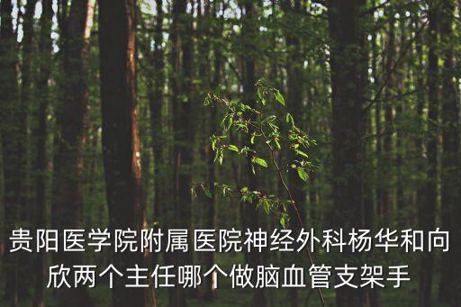 貴陽醫(yī)學(xué)院附屬醫(yī)院神經(jīng)外科楊華和向欣兩個(gè)主任哪個(gè)做腦血管支架手