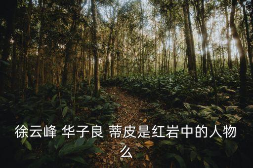 徐云峰 華子良 蒂皮是紅巖中的人物么
